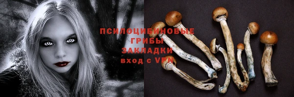 ECSTASY Алексеевка